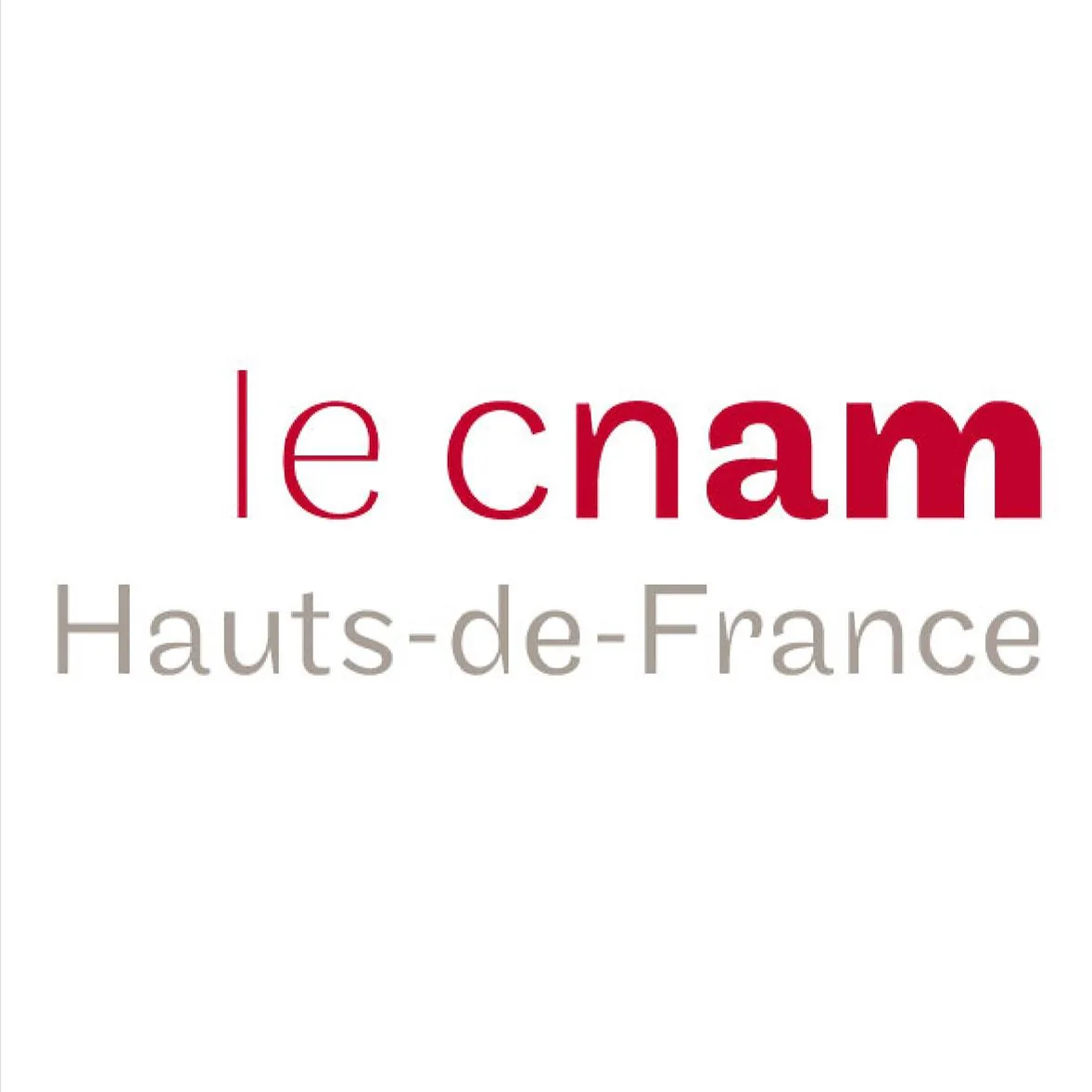 Logo Conservatoire National des Arts et Métiers